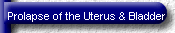 Prolapse of the Uterus & Bladder